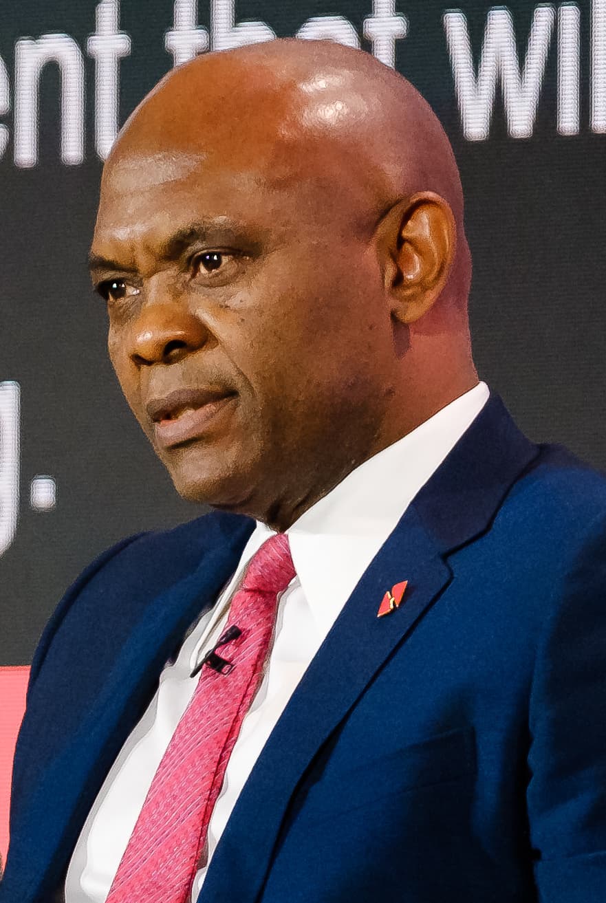 Portrait de Tony Elumelu